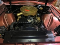 1965 Ford Thunderbird for sale in Michigan (ID-141404)