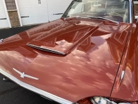 1965 Ford Thunderbird for sale in Michigan (ID-141404)