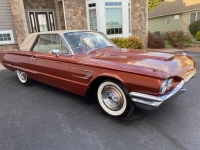 1965 Ford Thunderbird for sale in Michigan (ID-141404)