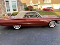 1965 Ford Thunderbird for sale in Michigan (ID-141404)