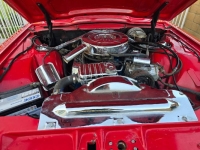1965 Ford Thunderbird for sale in Michigan (ID-142423)