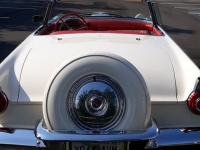 1956 Ford Thunderbird for sale in Riverhead, New York (ID-142868)