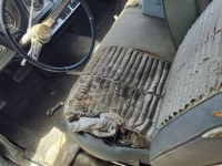 1965 Oldsmobile Delta 88 for sale in Michigan (ID-131159)