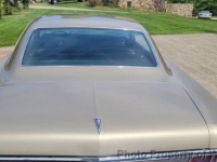 1965 Pontiac Catalina for sale in Riverhead, New York (ID-141250)