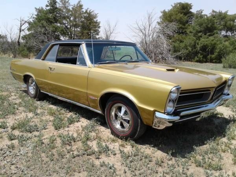 1965 Pontiac GTO for sale in Michigan (ID-107391)
