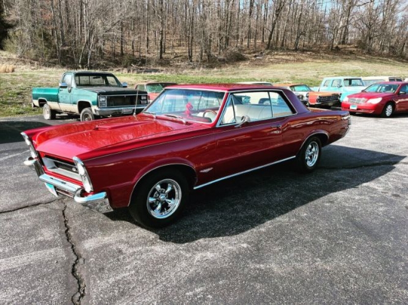 1965 Pontiac GTO for sale in Michigan (ID-116580) 1965 Pontiac GTO for sale in Michigan (ID-116580)