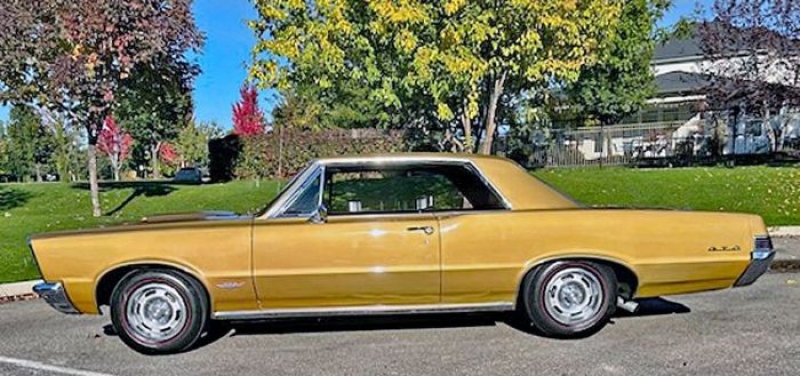 1965 Pontiac GTO for sale in Michigan (ID-121563)