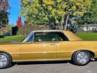 1965 Pontiac GTO for sale in Michigan (ID-121563)