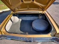 1965 Pontiac GTO for sale in Michigan (ID-121563)