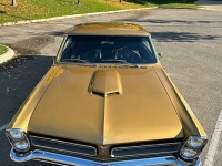 1965 Pontiac GTO for sale in Michigan (ID-121563)