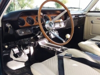 1965 Pontiac GTO for sale in Michigan (ID-122233)