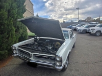 1965 Pontiac GTO for sale in Michigan (ID-137865)