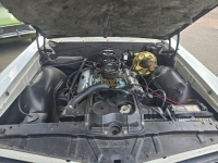 1965 Pontiac GTO for sale in Michigan (ID-137865)