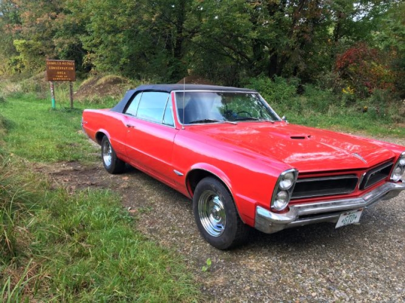 1965 Pontiac LeMans for sale in Michigan (ID-97403)