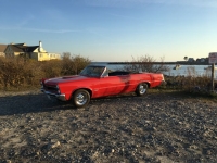 1965 Pontiac LeMans for sale in Michigan (ID-97403)