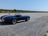 1965 Shelby Cobra for sale in Riverhead, New York (ID-120444)