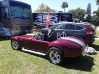 1965 Shelby Cobra for sale in Michigan (ID-121246)