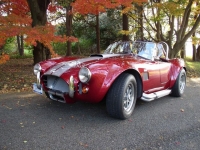 1965 Shelby Cobra for sale in Riverhead, New York (ID-122605)