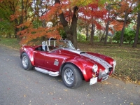 1965 Shelby Cobra for sale in Riverhead, New York (ID-122605)
