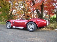 1965 Shelby Cobra for sale in Riverhead, New York (ID-122605)