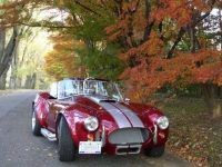 1965 Shelby Cobra for sale in Riverhead, New York (ID-122605)