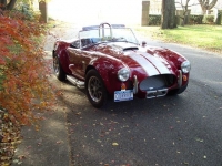 1965 Shelby Cobra for sale in Riverhead, New York (ID-122605)