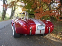 1965 Shelby Cobra for sale in Riverhead, New York (ID-122605)