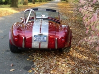 1965 Shelby Cobra for sale in Riverhead, New York (ID-122605)