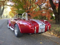 1965 Shelby Cobra for sale in Riverhead, New York (ID-122605)