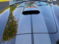 1965 Shelby Cobra for sale in Riverhead, New York (ID-125700)