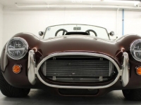1965 Shelby Cobra for sale in Michigan (ID-126191)