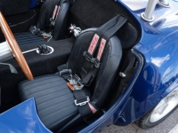 1965 Shelby Cobra for sale (ID-125231)