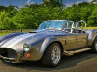 1965 Shelby Cobra for sale in Michigan (ID-136957)