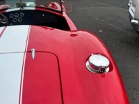 1965 Shelby Cobra for sale in Michigan (ID-141299)