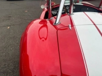 1965 Shelby Cobra for sale in Michigan (ID-141299)