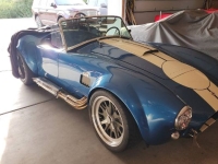1965 Shelby Cobra for sale in Michigan (ID-141661)