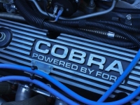 1965 Shelby Cobra for sale (ID-162282)