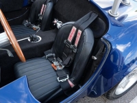 1965 Shelby Cobra Replica for sale in Riverhead, New York (ID-125698)