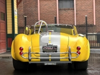 1965 Shelby Cobra Replica for sale in Riverhead, New York (ID-125725)