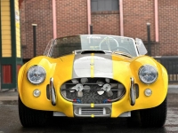 1965 Shelby Cobra Replica for sale in Riverhead, New York (ID-125725)