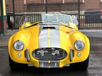 1965 Shelby Cobra Replica for sale in Riverhead, New York (ID-125725)