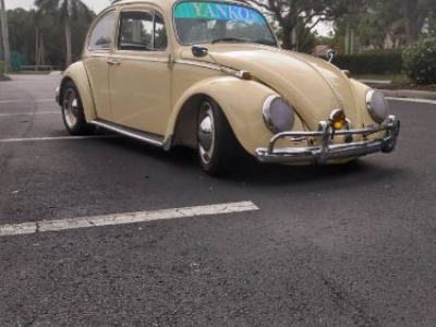 1965 Volkswagen Beetle for sale