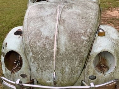 1965 Volkswagen Beetle for sale