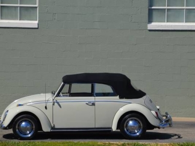 1965 Volkswagen Beetle for sale