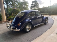 1965 Volkswagen Beetle for sale in Michigan (ID-113245)
