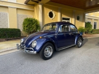 1965 Volkswagen Beetle for sale in Michigan (ID-113245)