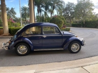 1965 Volkswagen Beetle for sale in Michigan (ID-113245)