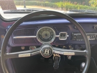 1965 Volkswagen Beetle for sale in Michigan (ID-113245)