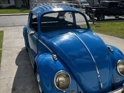 1965 Volkswagen Beetle for sale