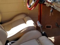 1965 Volkswagen Beetle for sale in Michigan (ID-115967)